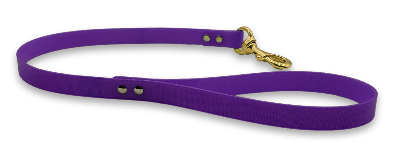 Hounds & Faith Lead