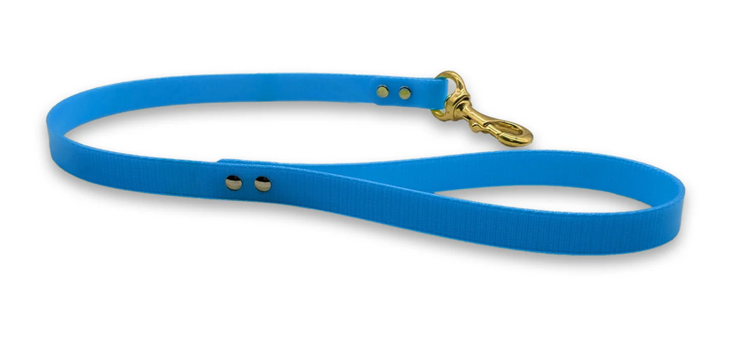Hounds & Faith Lead